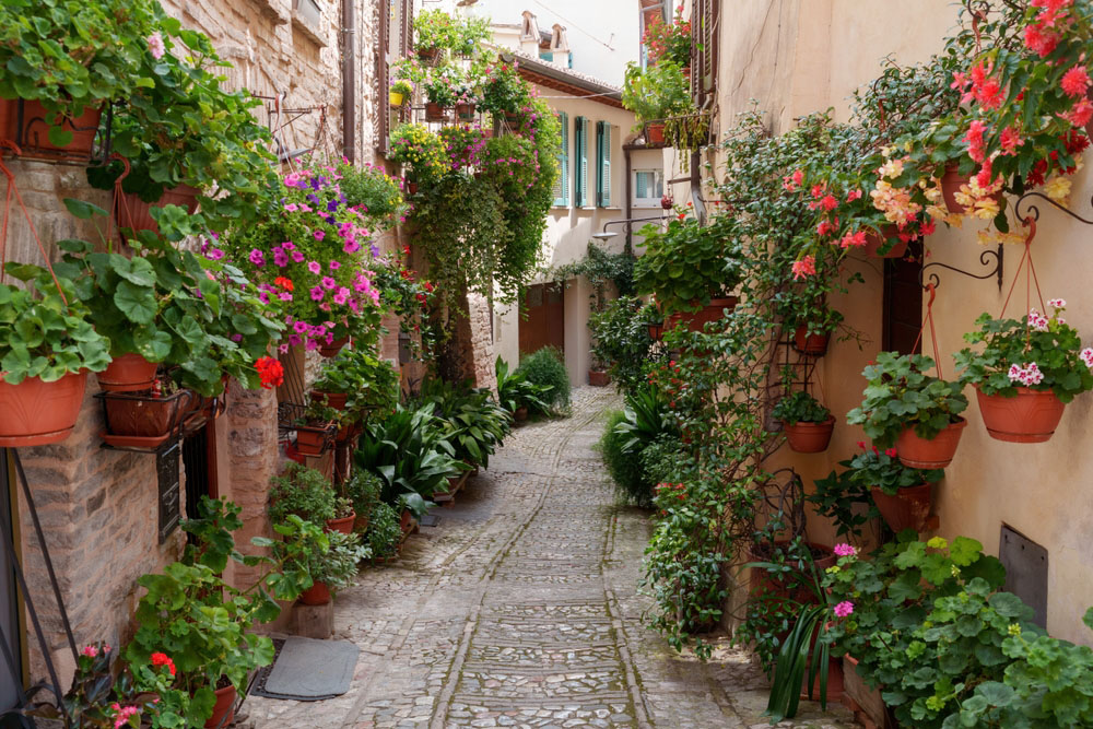 Bagnoregio
